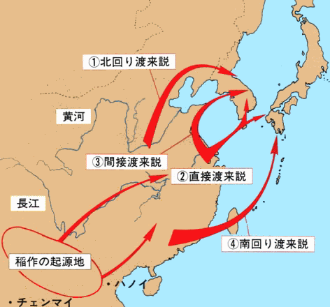 米と日本の文化
